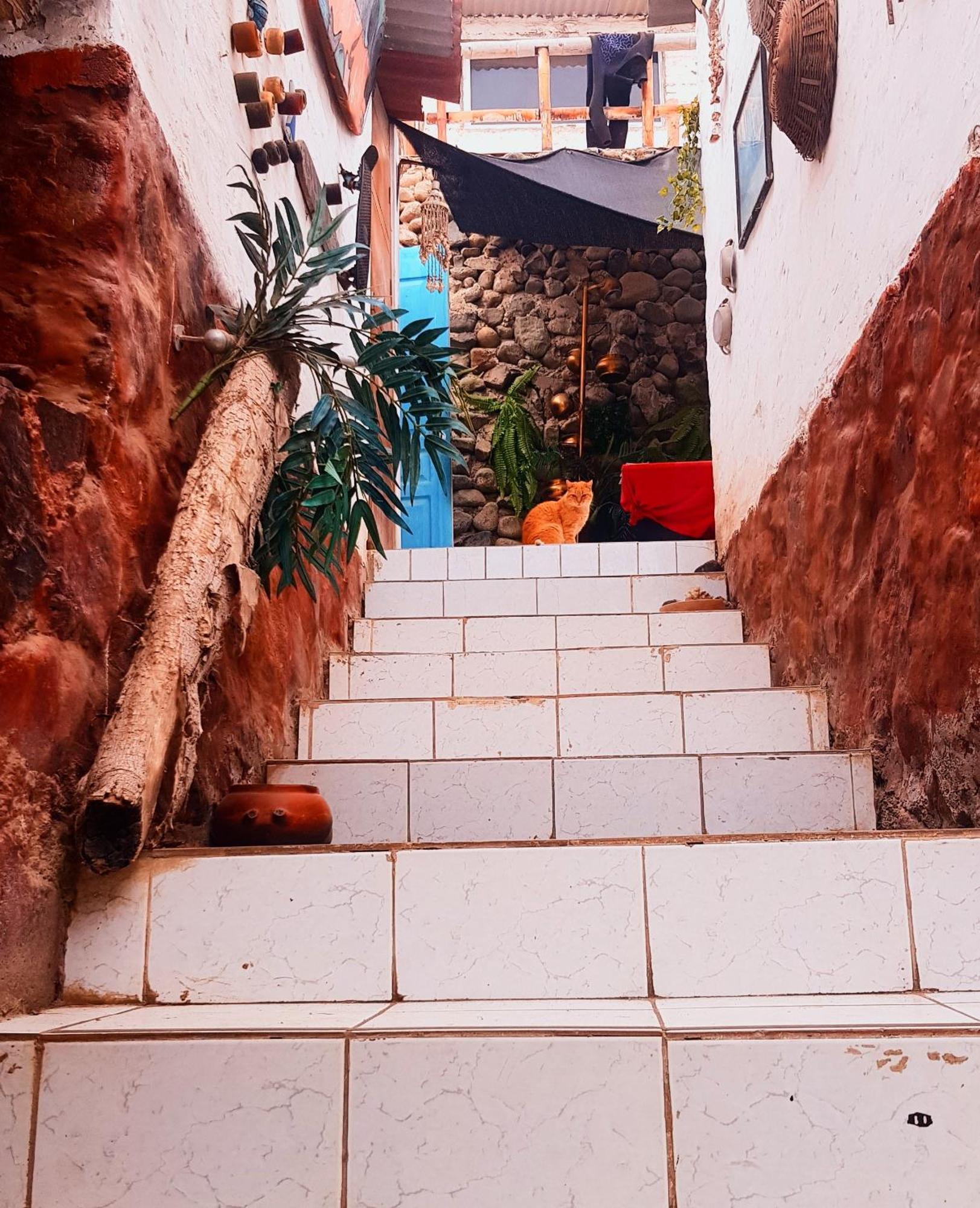 Huanchaco Surf Camp Apartment ภายนอก รูปภาพ